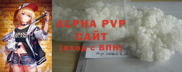 индика Белокуриха