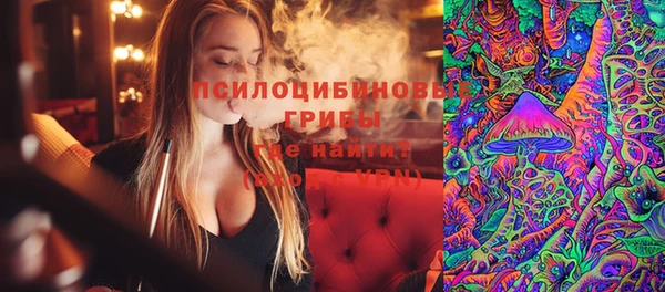 индика Белокуриха
