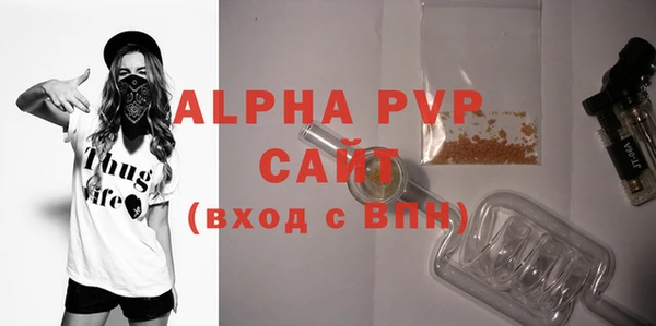 индика Белокуриха