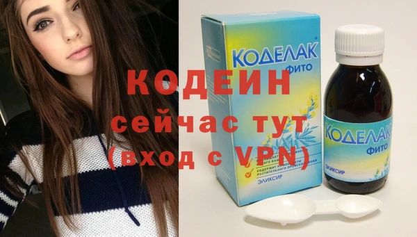 индика Белокуриха