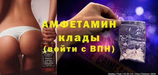 индика Белокуриха