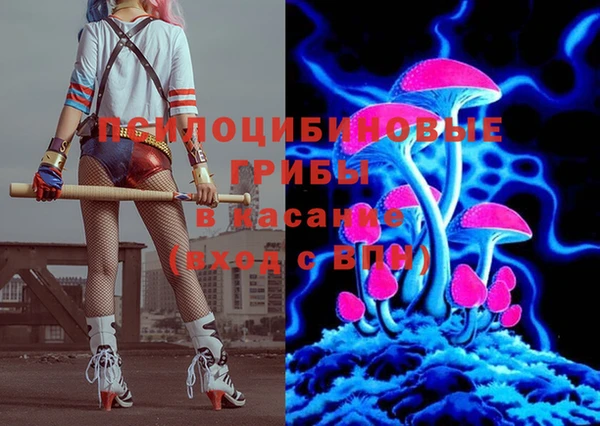 индика Белокуриха
