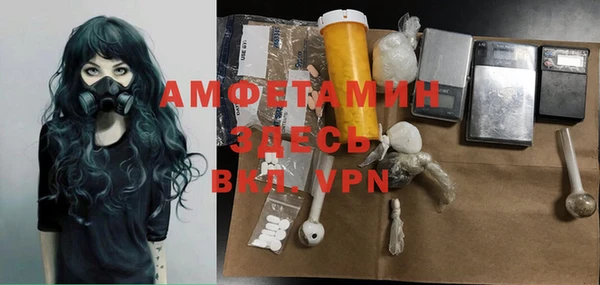 индика Белокуриха